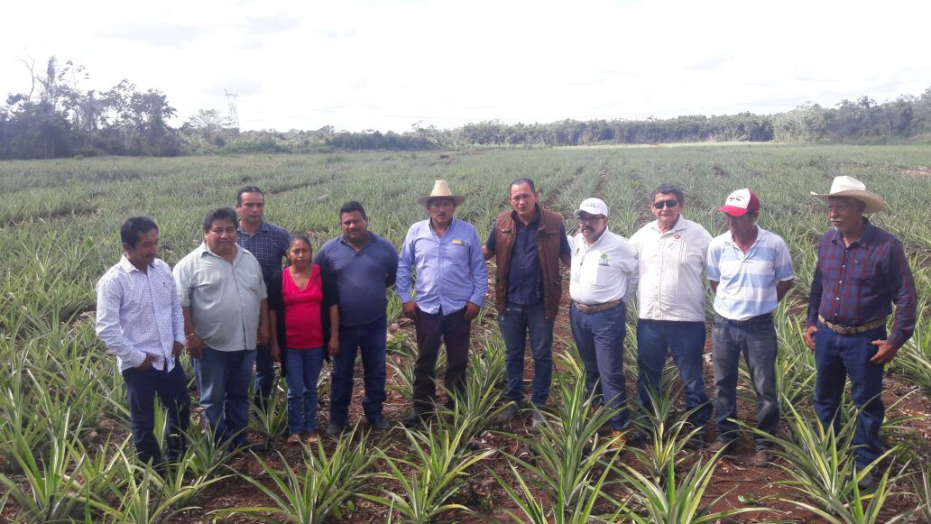 Constatan avances de proyecto de Cuenca Piñera en Bacalar