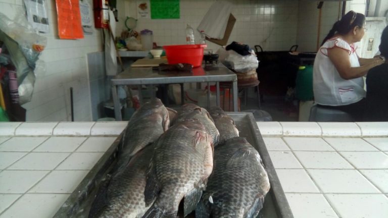 Cuaresma no aumentó ventas de pescado