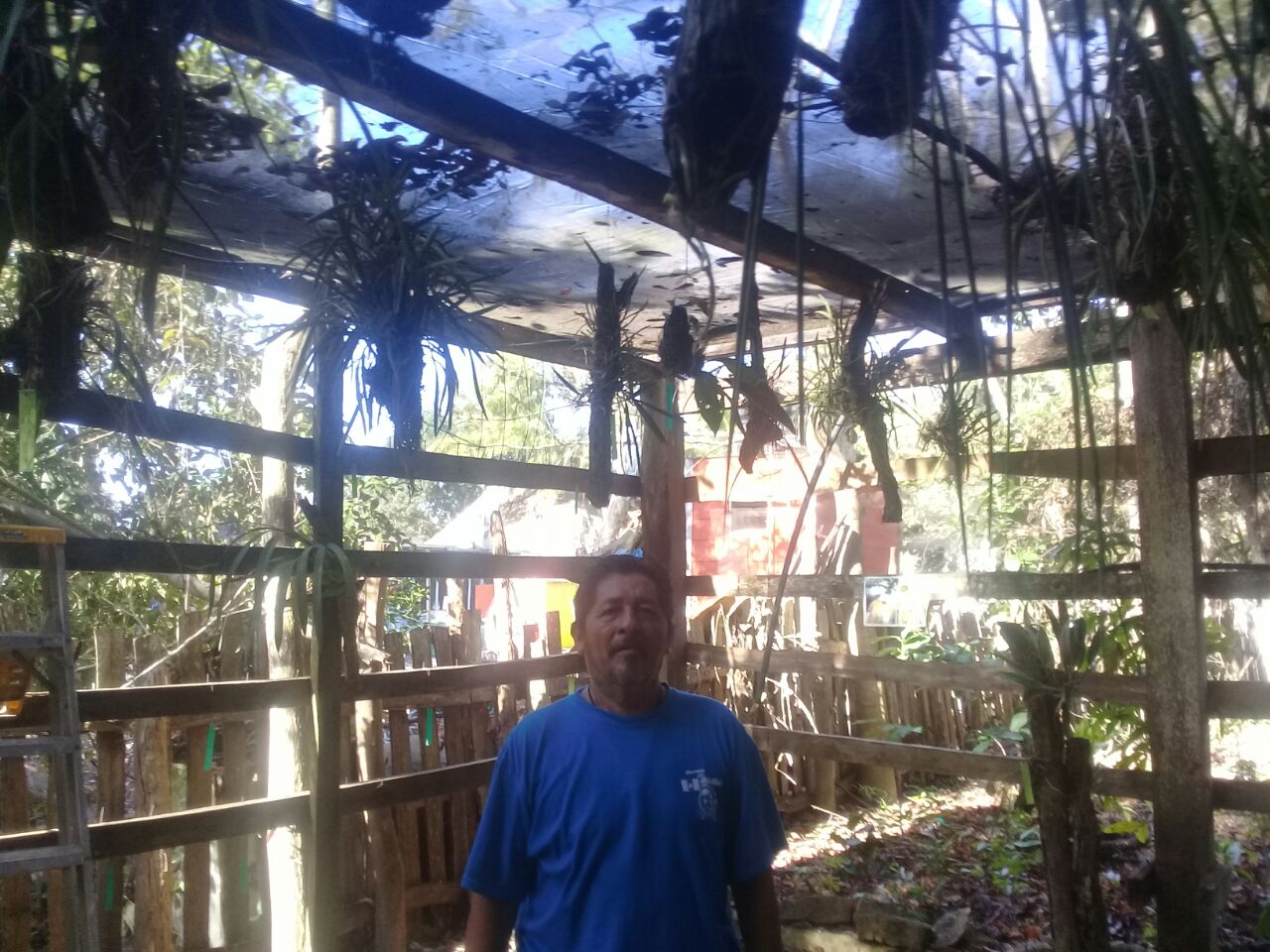 Urgen recursos para orquidiario en Solferino