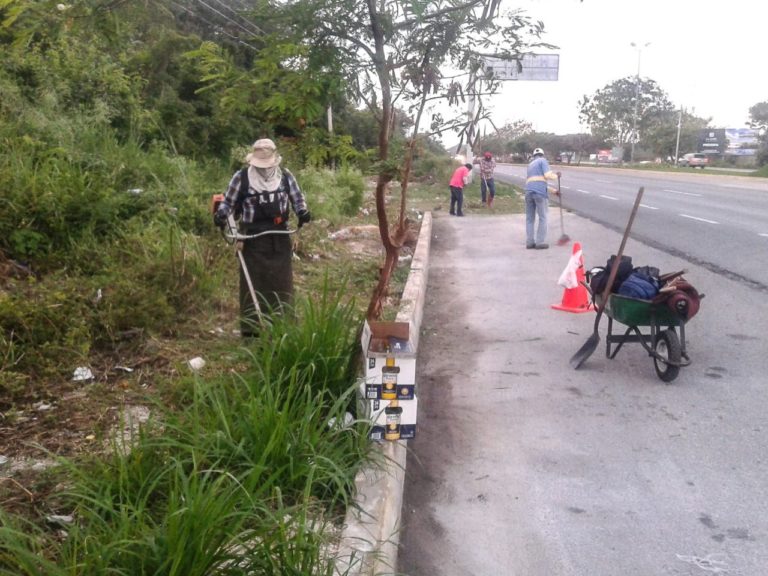 Limpia y habilita Gobierno de Solidaridad parques, puentes y vialidades
