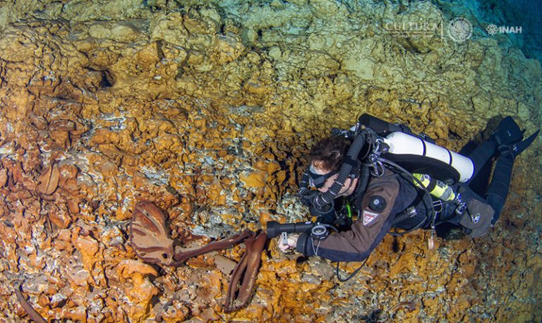 Estudian megafauna del Pleistoceno Tardío que vivió en lo que hoy es la península de Yucatán