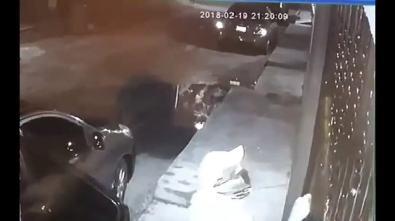 Graban a ladrones en acción en Cozumel