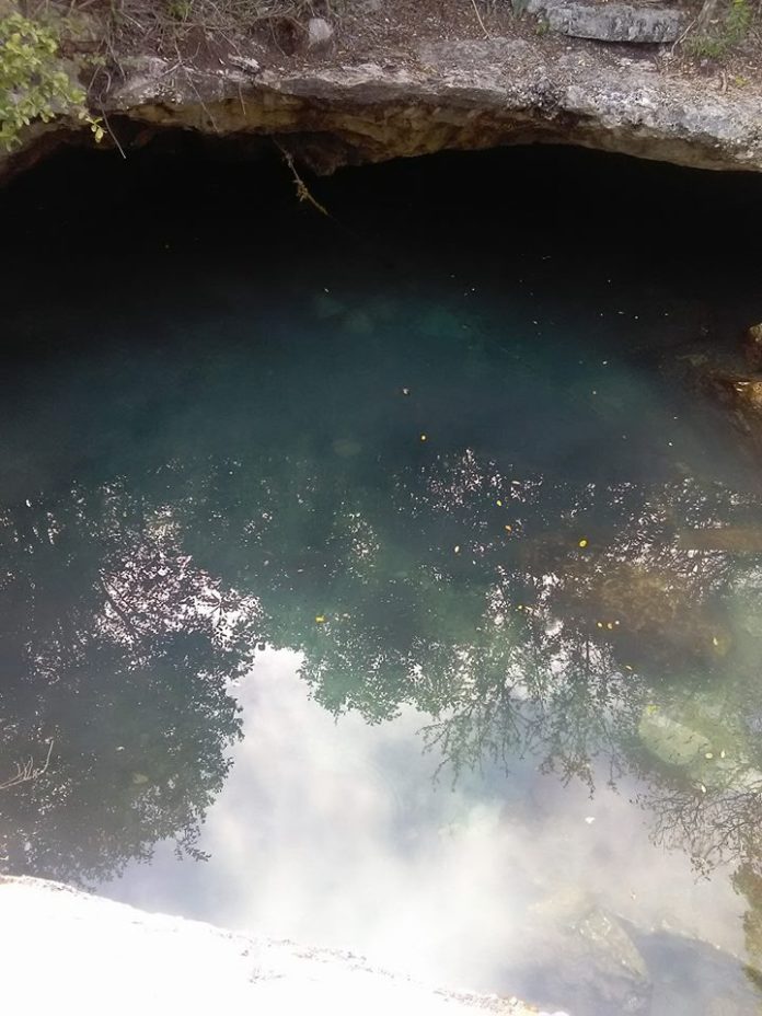 Cenote contaminado en Chemuyil