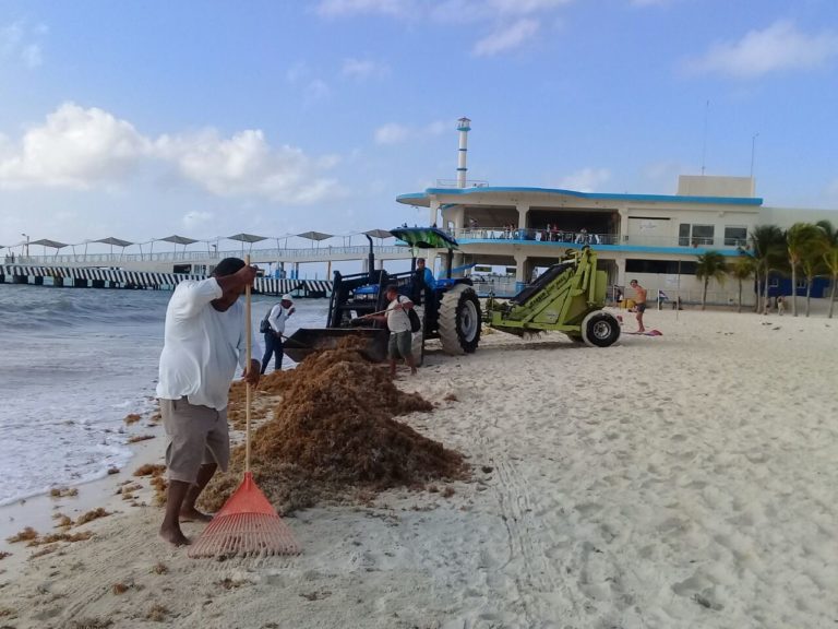 ZOFEMAT suma esfuerzos con la sociedad civil  para atender arribo de sargazo