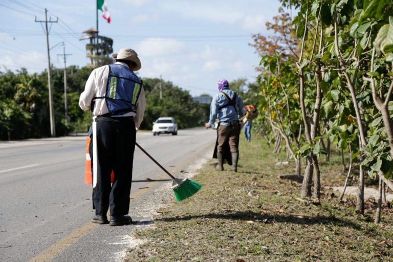 Mejoran imagen urbana con limpieza de más  de 167 km. de camellones en Solidaridad