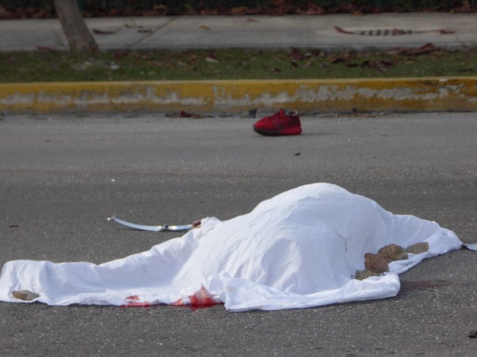 ARROLLADO EN ARCO VIAL