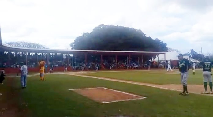 beisbol