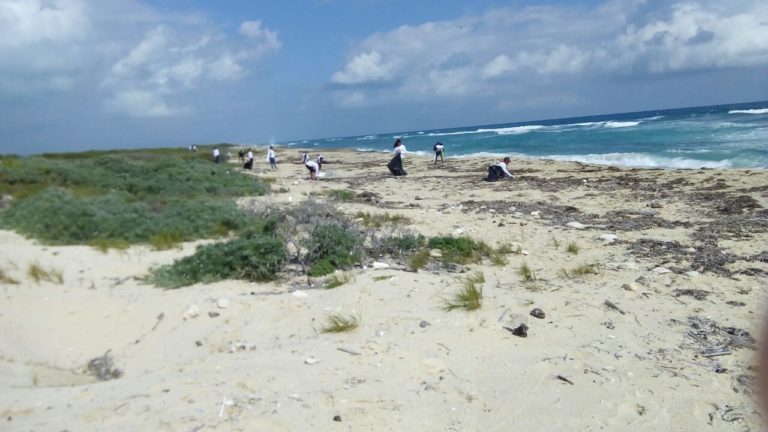 Retiran 264 kilos de basura en Isla Contoy