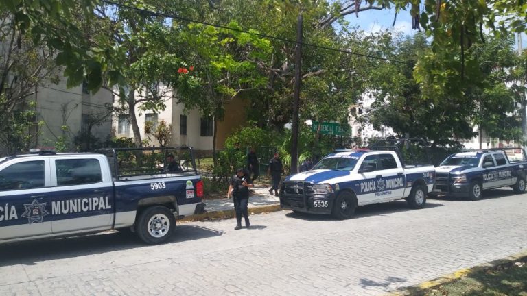 Hallan boletas de infracción entre arbustos en Cancún