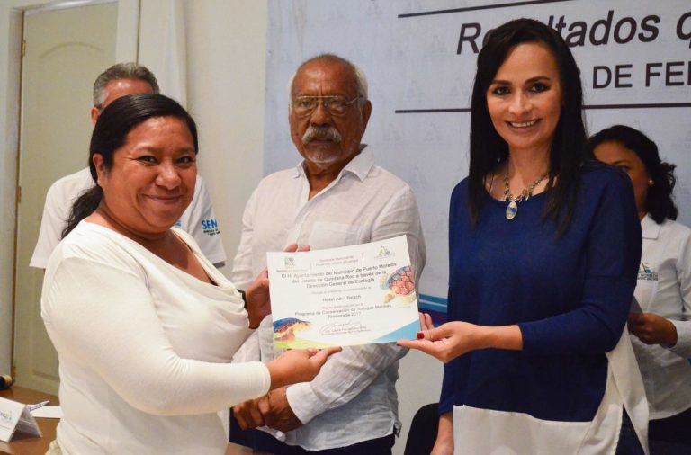 Gobierno de Laura Fernández listo para iniciar programa de protección de tortugas