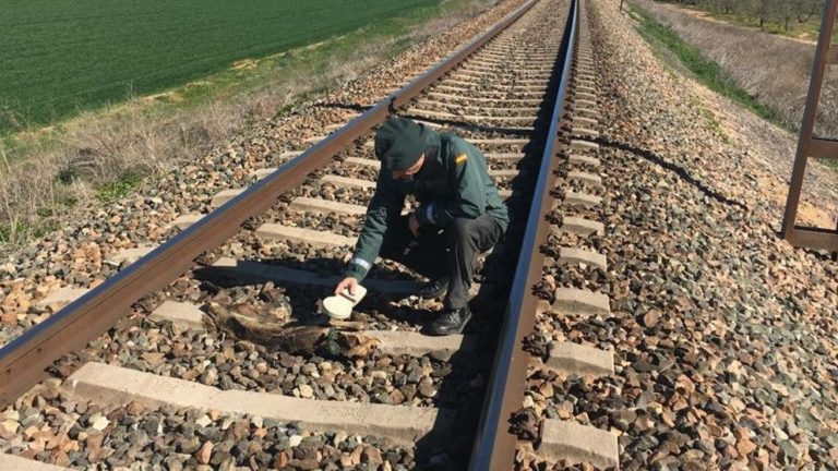 Ataba a animales a las vías del tren para matarlos