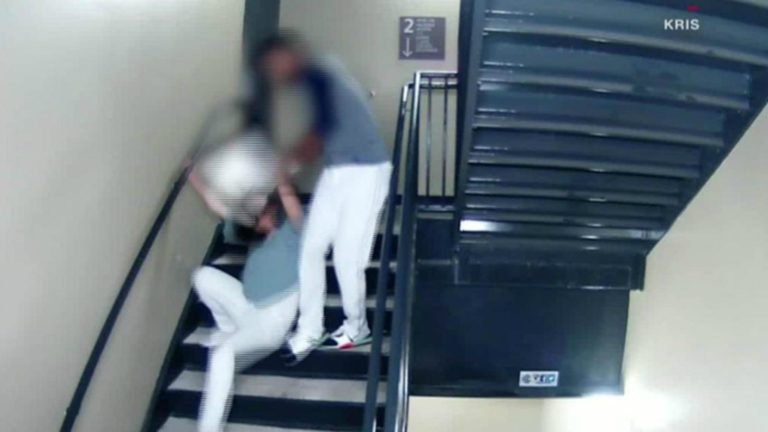 El beisbolista Danry Vásquez golpeó a su novia y es despedido dos años después