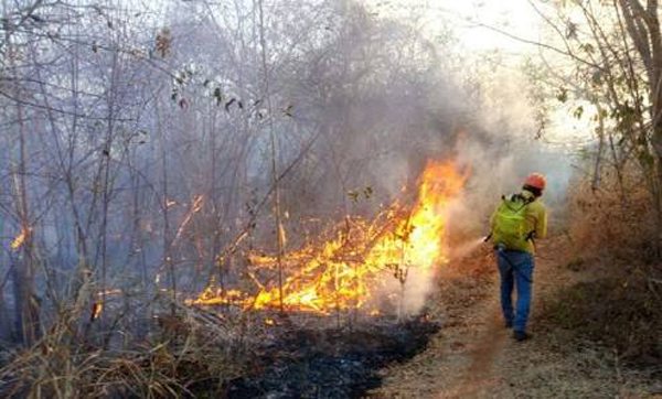 Protección Civil recuerda a la población no hacer quemas en patios o zonas baldías