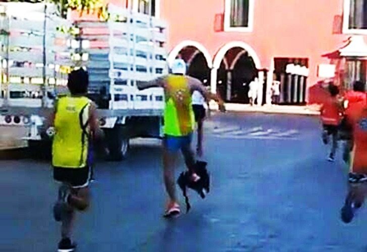 Patea corredor a perro en competencia y causa indignación