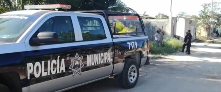 Ataca bestia a un hombre en Cozumel; el cadáver estaba despellejado