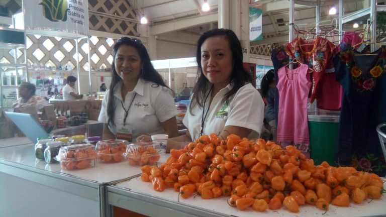 Productores de chile de la Península ven potencial de exportación