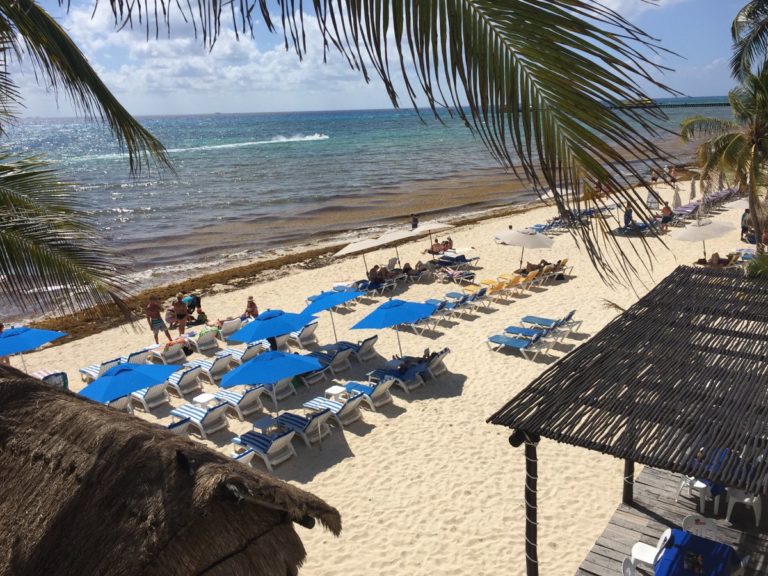 Responden expertos si el sargazo produce sarpullido en la piel