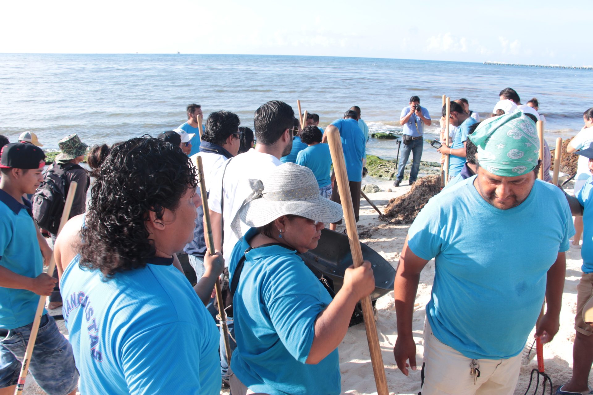 Lleva Solidaridad tres jornadas intensas en la recoja de sargazo