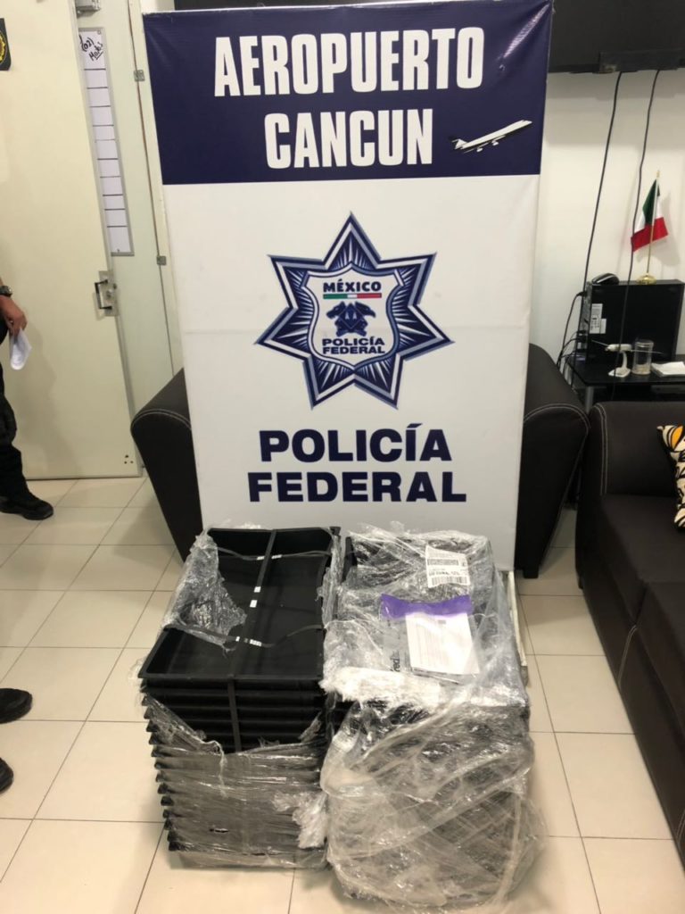 15 kilos de marihuana