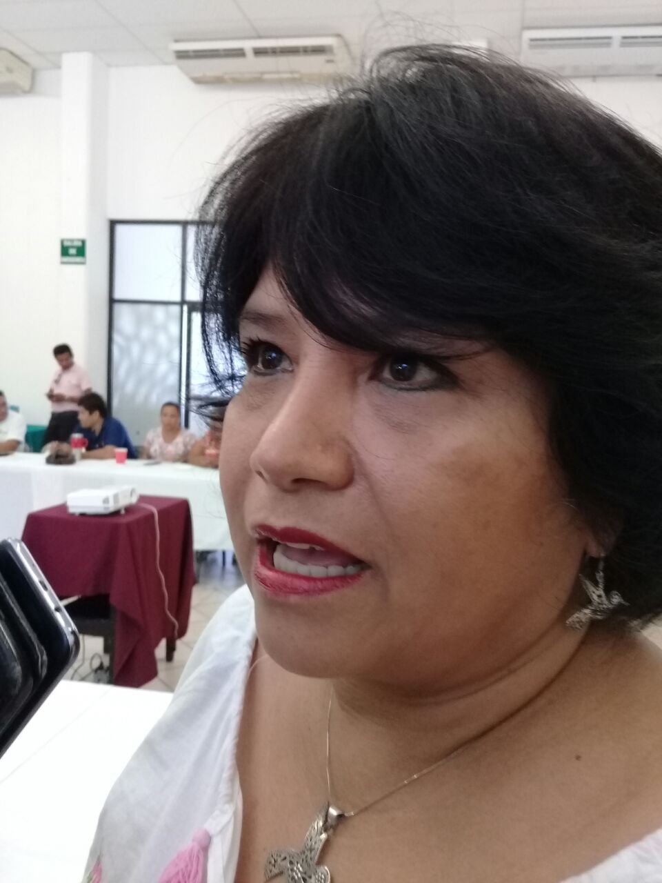 Consultores ambientales, cómplices del daño ecológico