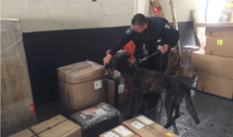 Hallan 2.5 kilos de heroína en el aeropuerto de Cancún