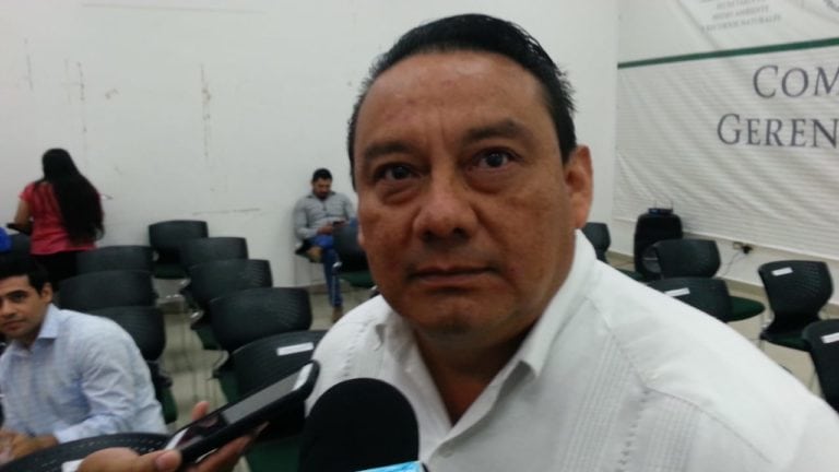 Detectan 10 escuelas de capacitación “patito”