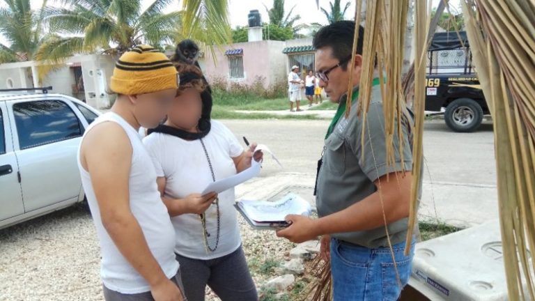 Asegura Profepa un ejemplar de Mono Araña en Ciudad Caucel