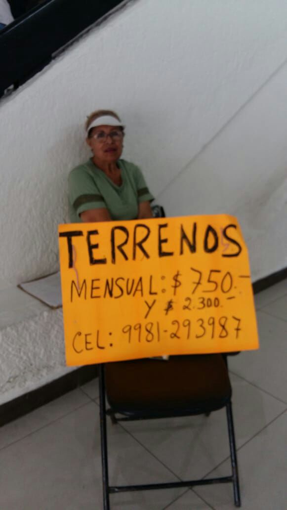 Cobra Ayuntamiento a mujer para instalarse con cartel en el Palacio