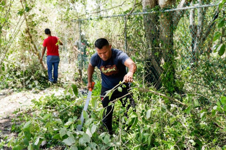 Chapea Solidaridad 50 mil metros cuadrados de lotes baldíos