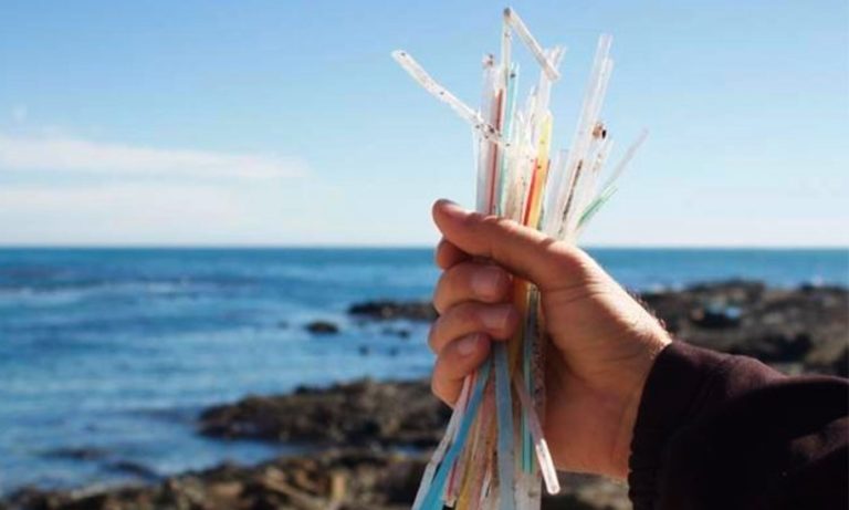 Este es el primer estado costero en prohibir uso de bolsas de plástico y popotes en comercios