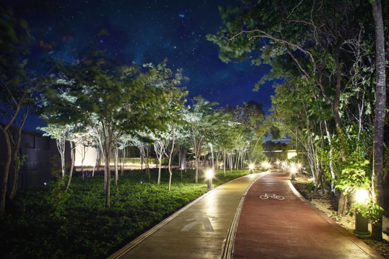 Reconocen a Mayakoba por sus prácticas socialmente responsables