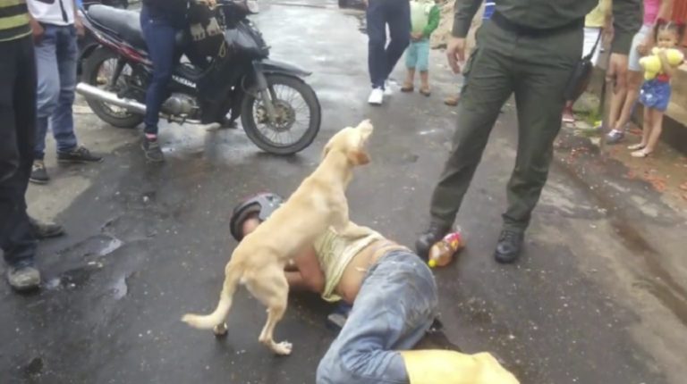 Perrito defiende a capa y espada a sujeto ebrio