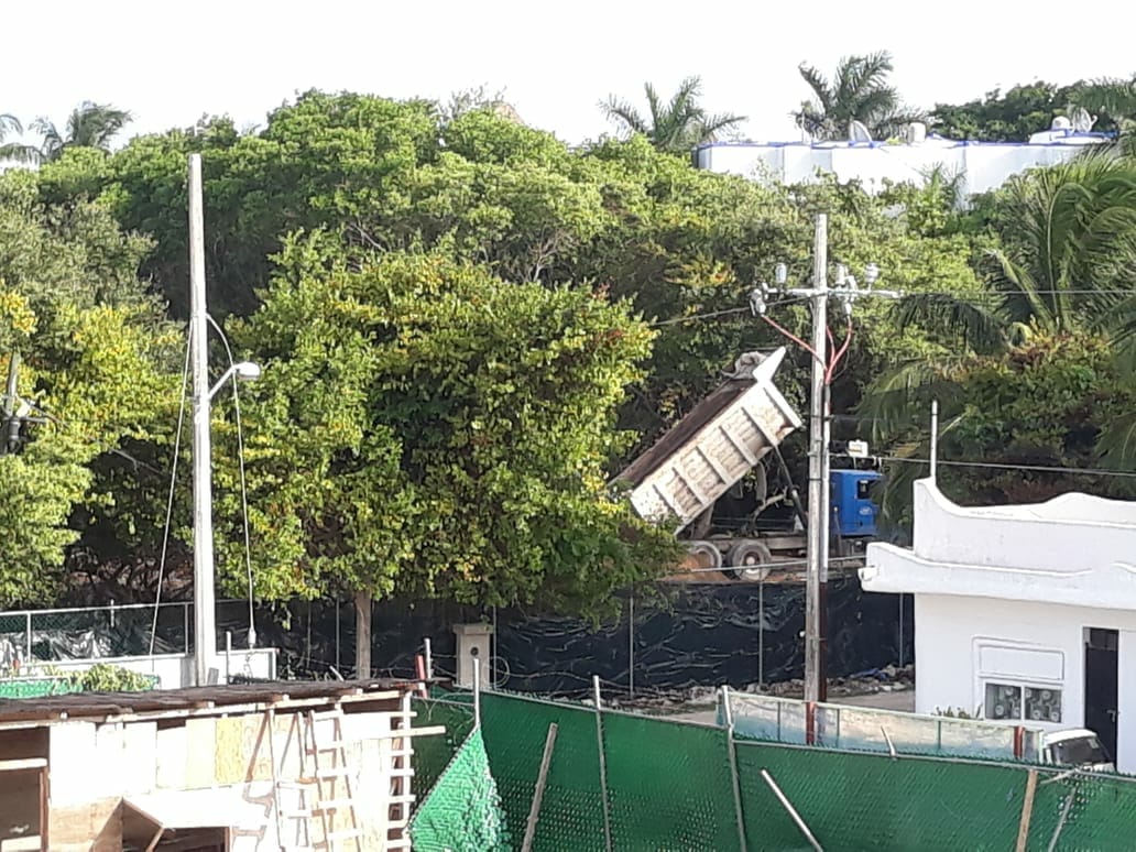 Clausura municipio deforestación en predio de la Zazil Ha