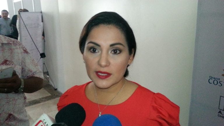 Hasta ahora, encuentros informales entre hoteles del sur y el Consejo de Promoción Turística