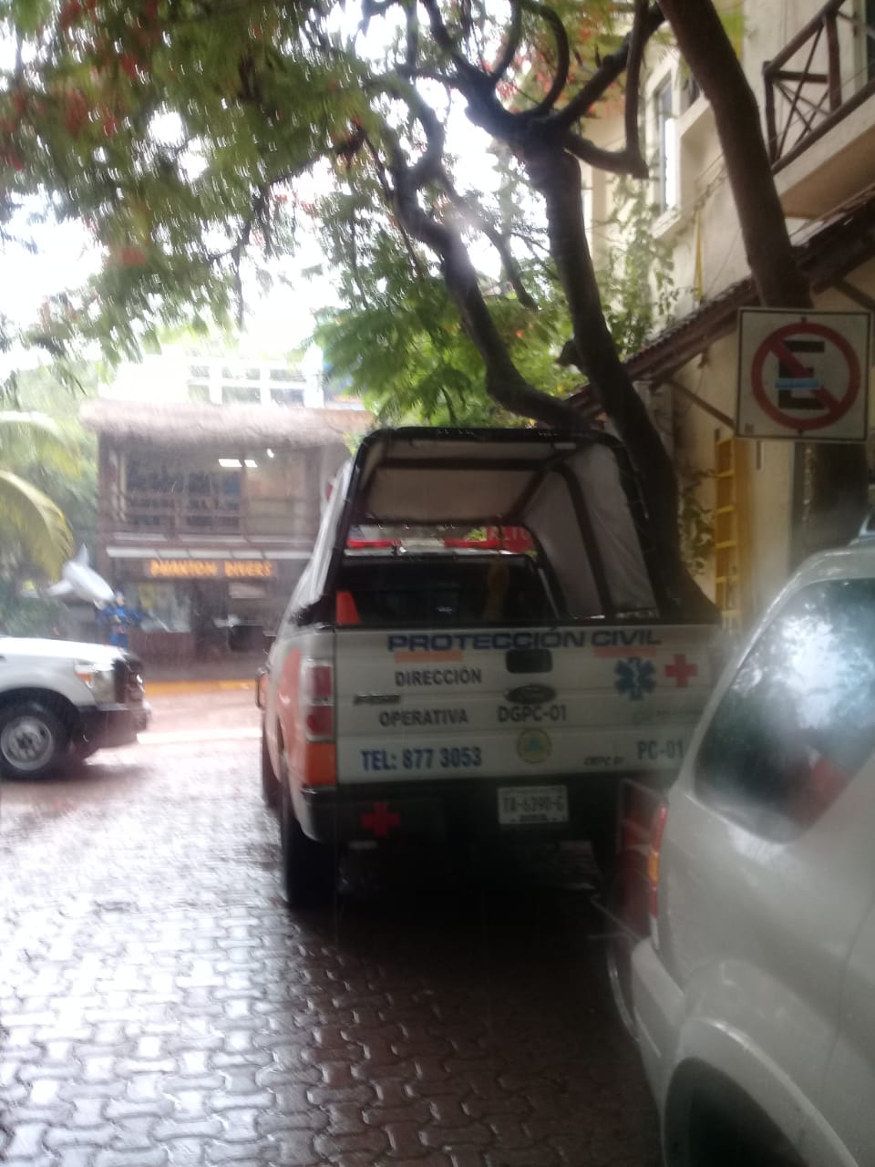 Cortan árboles en el centro de Playa, por lluvias