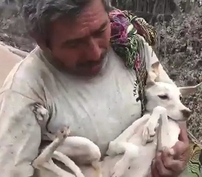 Fidelidad al máximo, hombre rescata a su perro entre las cenizas