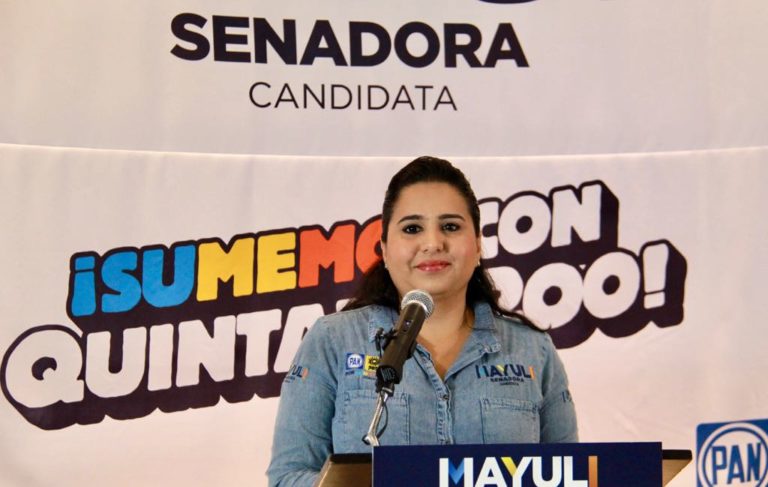 Urge revertir la inseguridad con más inteligencia y menos balas: Mayuli