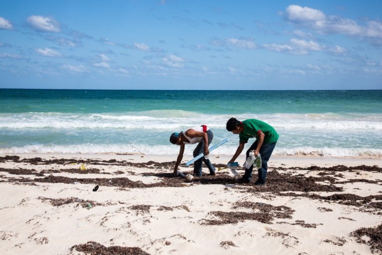 Playenses cuidarán el ecosistema y escucharán música del cosmos
