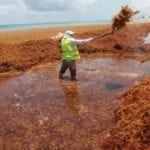 futuro titular de Sectur