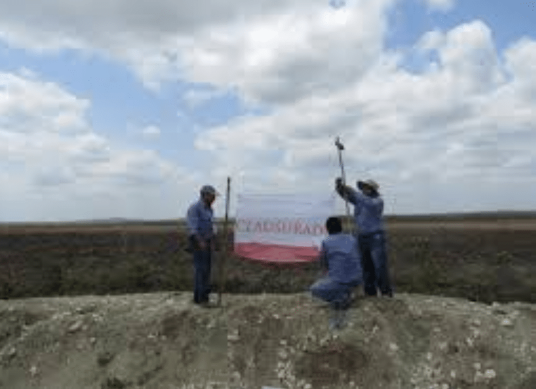 Sanciona Profepa a menonitas ecocidas