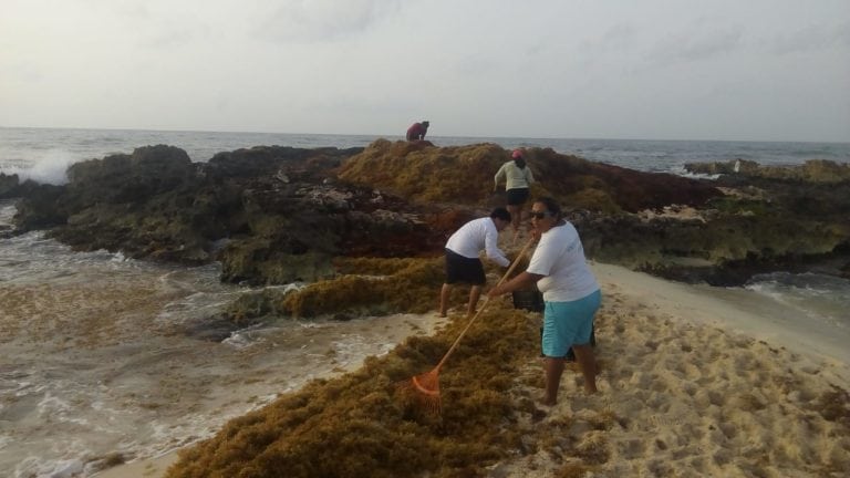 Exigen pago trabajadores que recogen sargazo (video)