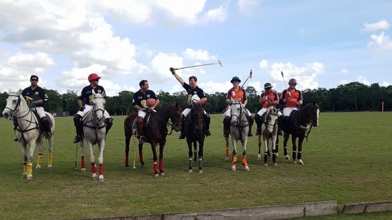 Llega segundo fresnal de Polo