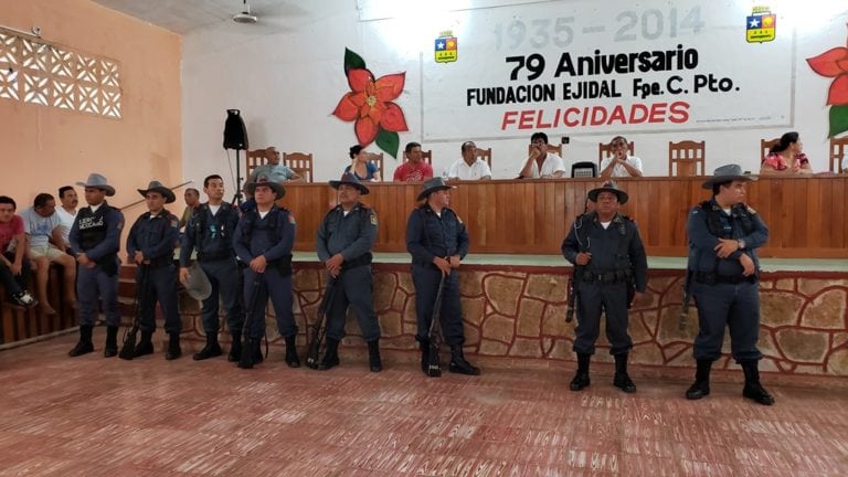 Forman brigadas para evitar tráfico de maderas