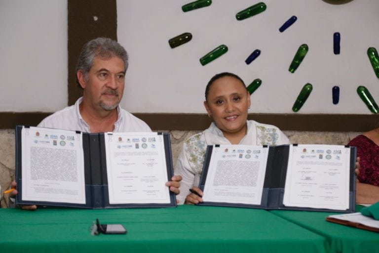 Suman esfuerzos gobierno y asociaciones de Solidaridad para proteger árboles urbanos