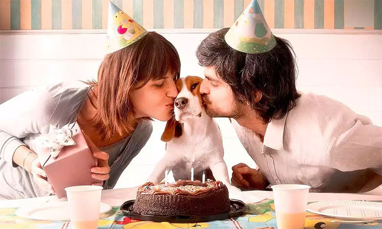 ¿Tratas a tu mascota como un hijo? Podrías sufrir un trastorno mental