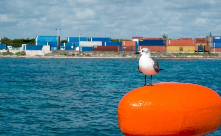 Puerto Morelos iguala a Progreso en servicios de carga