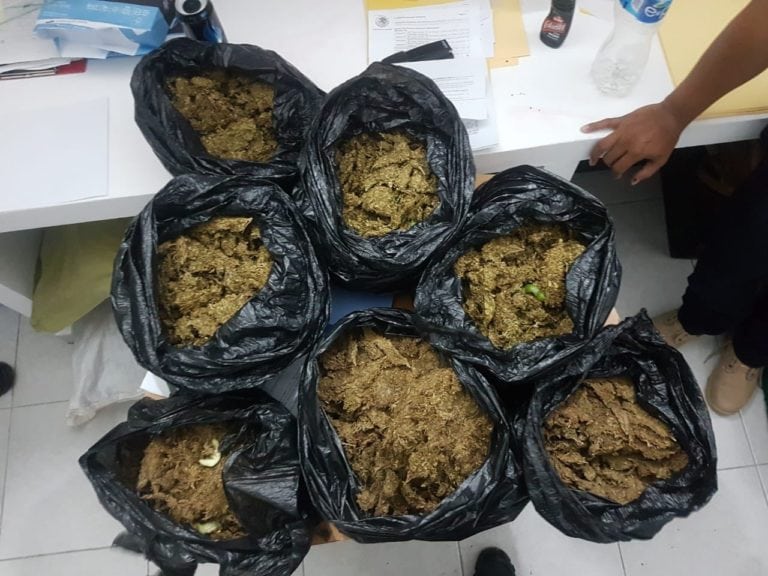 Pareja de narcotraficantes son detenidos con marihuana en Tulum