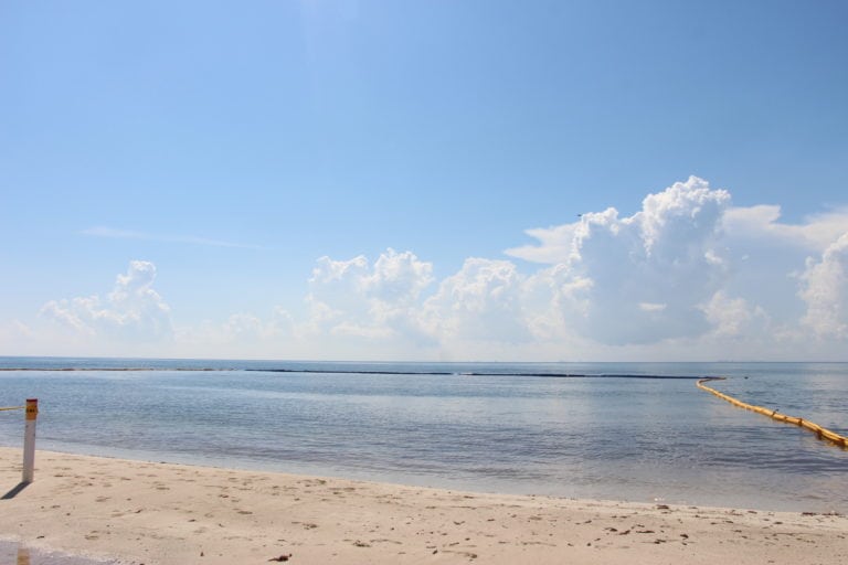 ONG revisará impacto ecológico de barreras antisargazo