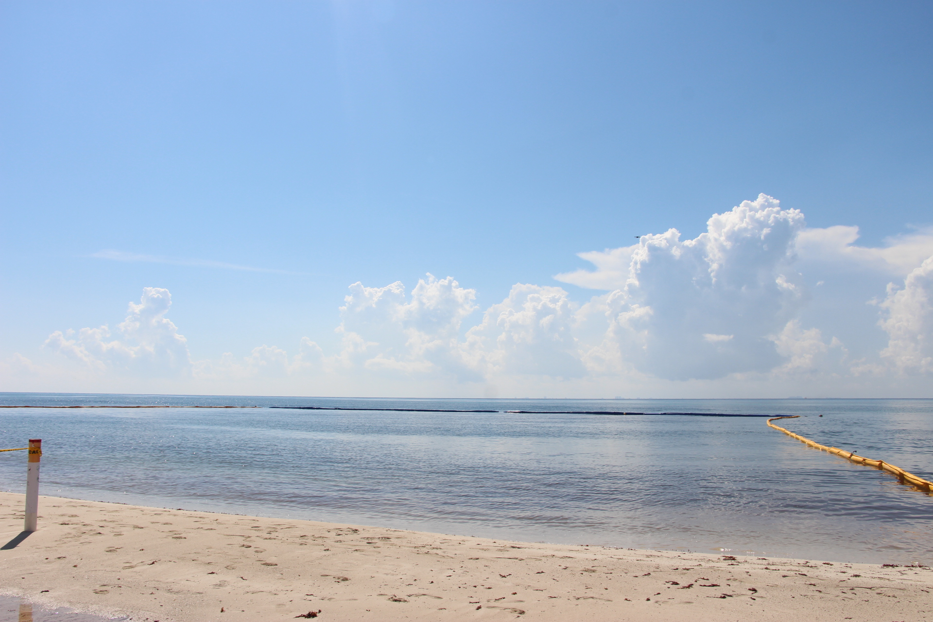 ONG revisará impacto ecológico de barreras antisargazo