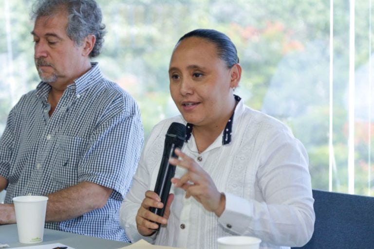 Presenta Solidaridad acciones para atender arribo de sargazo